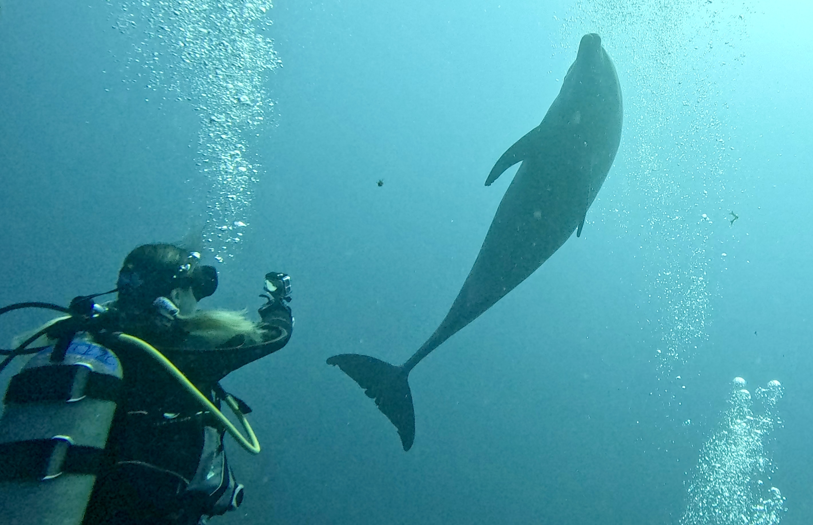 Scuba Life diving gallery — Southern California training and ocean dives (7)