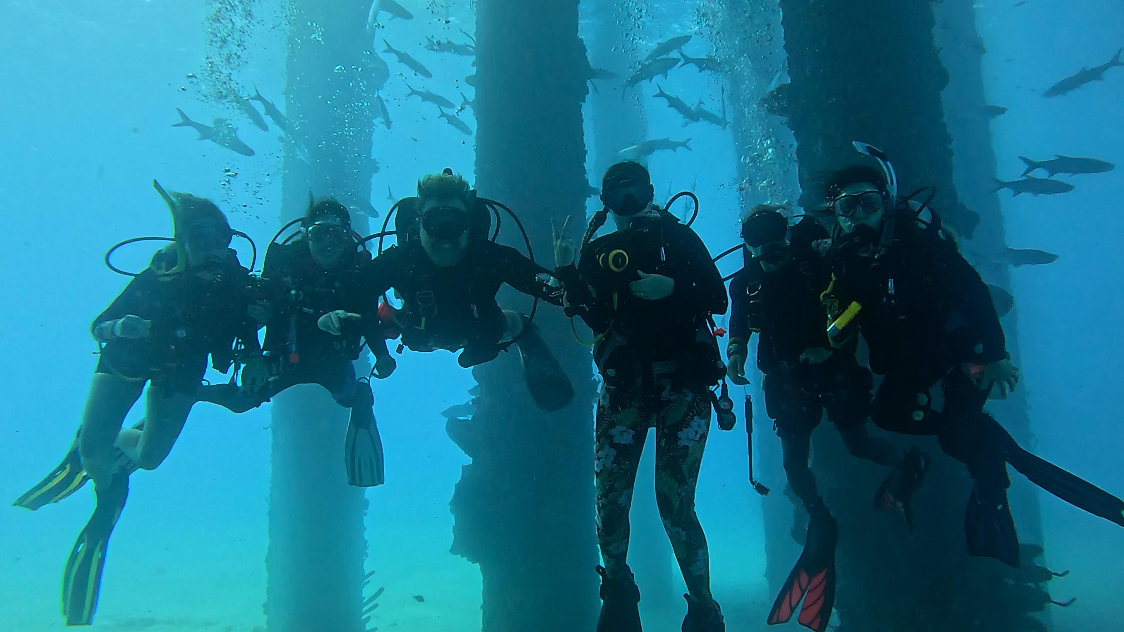 Scuba Life diving gallery — Southern California training and ocean dives (25)