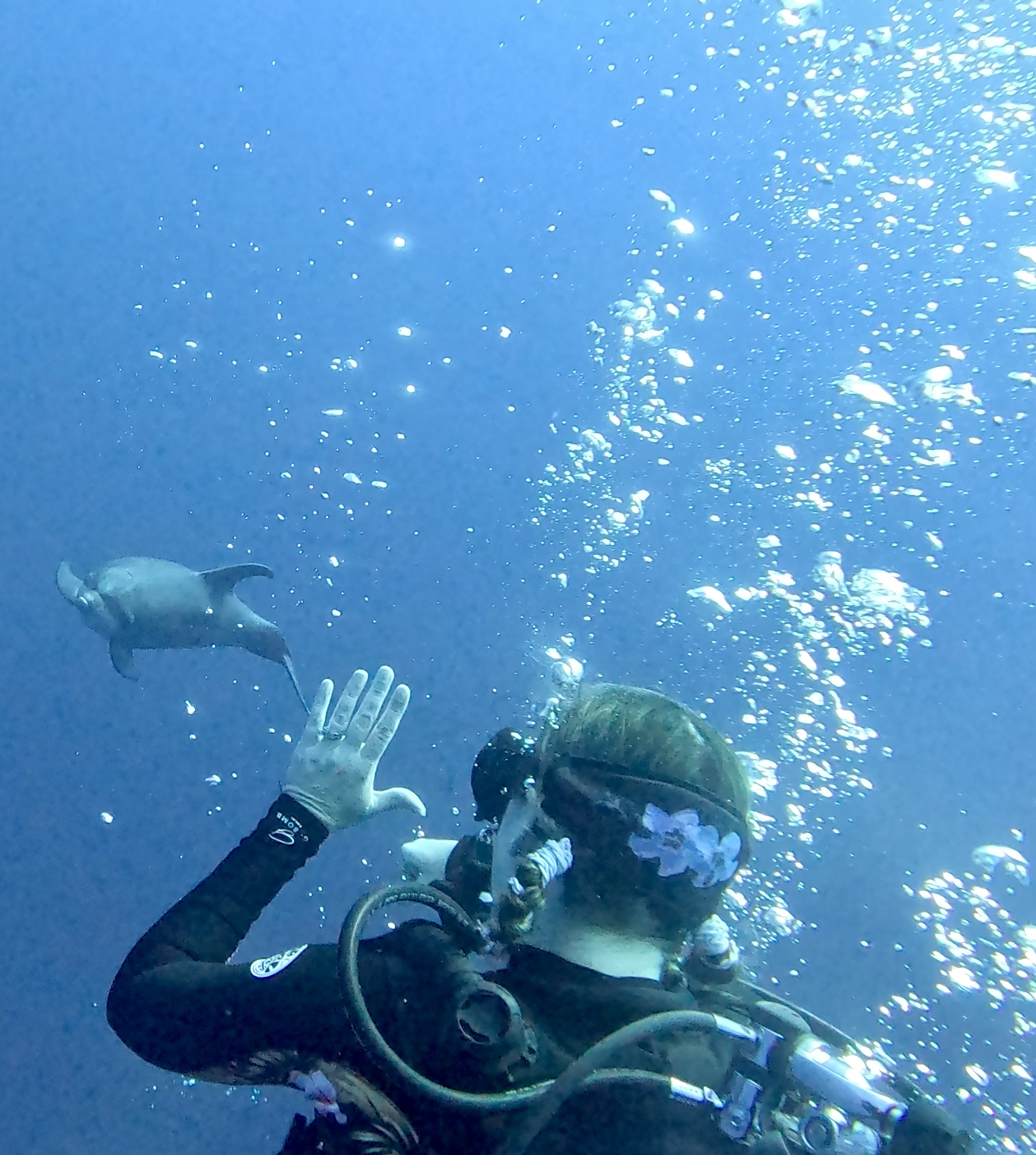 Scuba Life diving gallery — Southern California training and ocean dives (9)