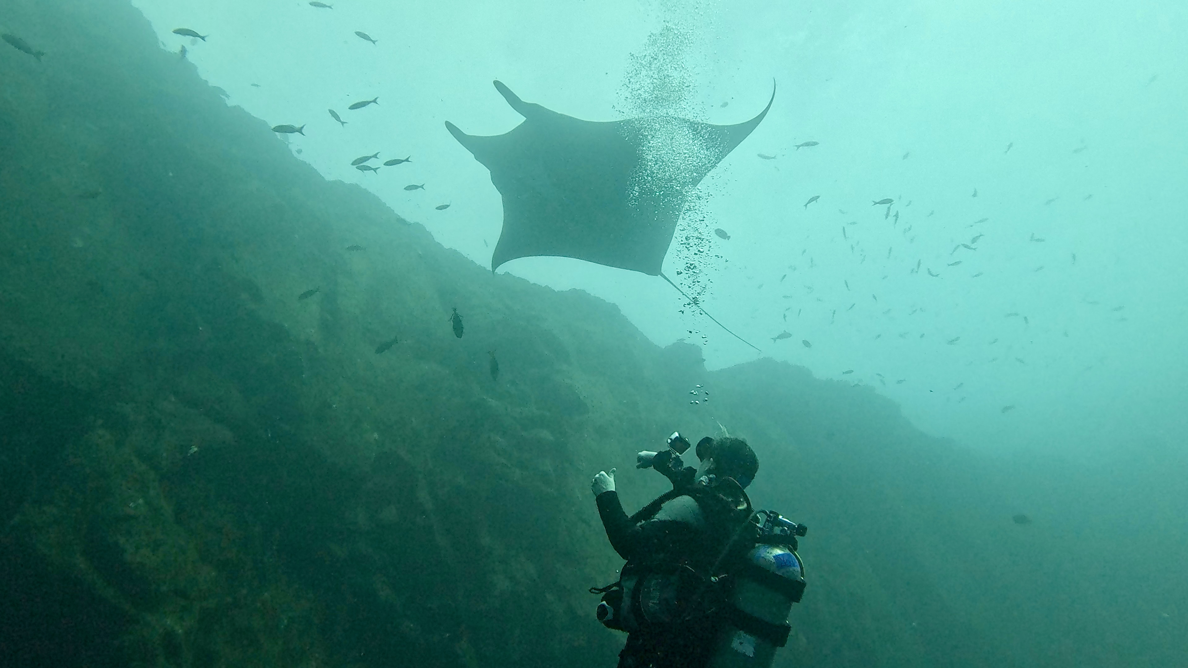 Advanced Open Water (5 Dives)