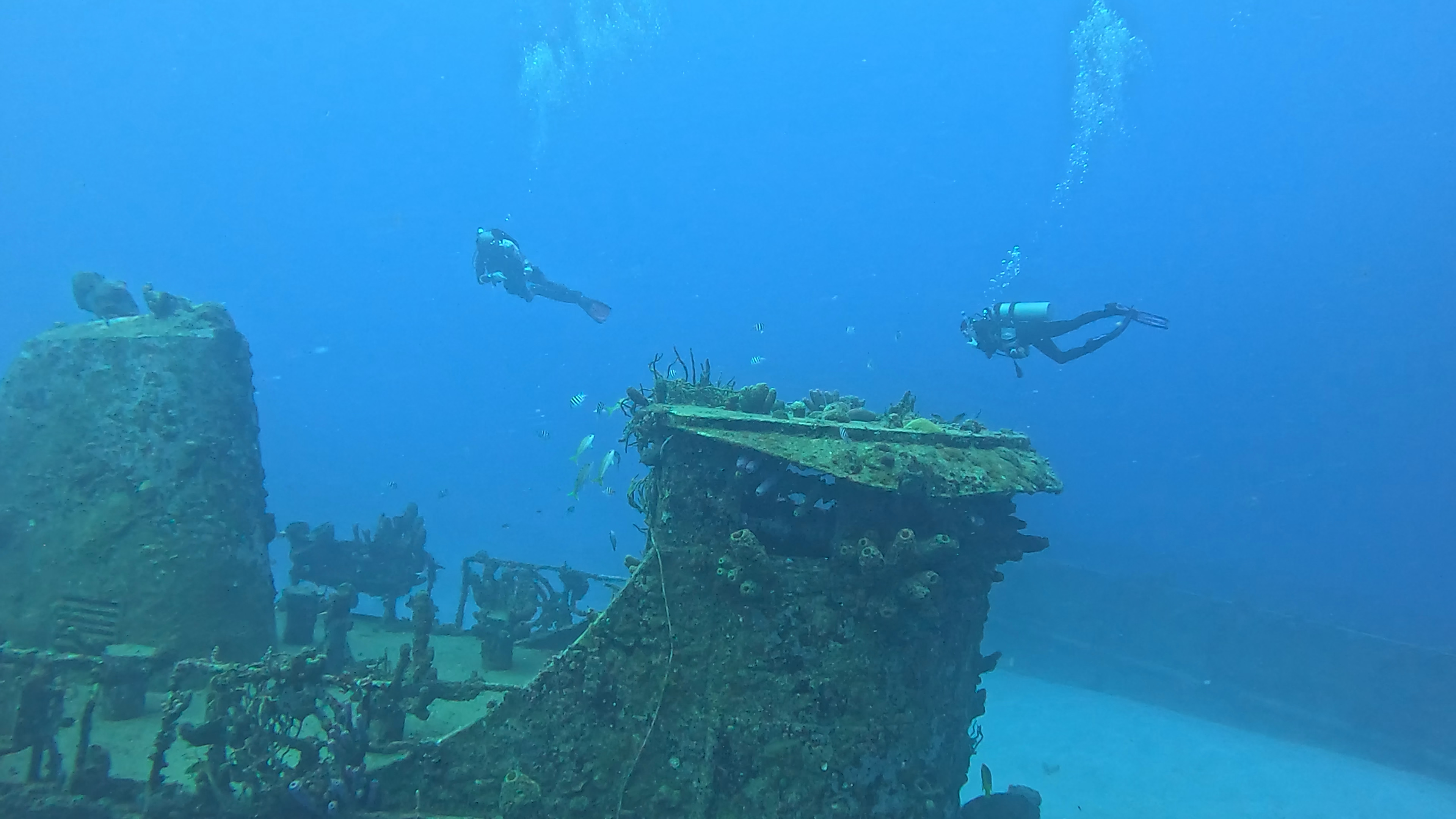 Deep Diver Specialty