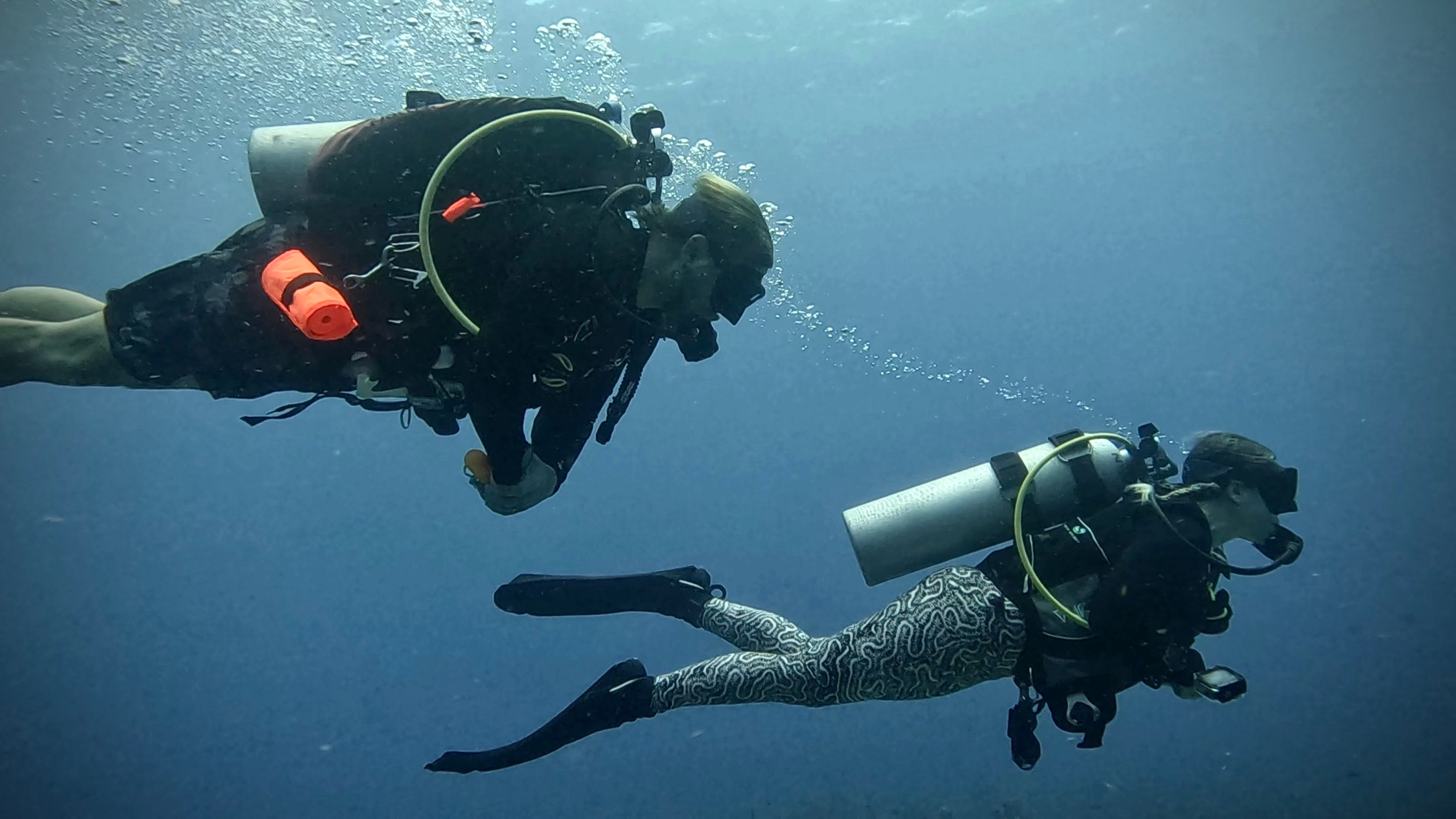 Guided Dives