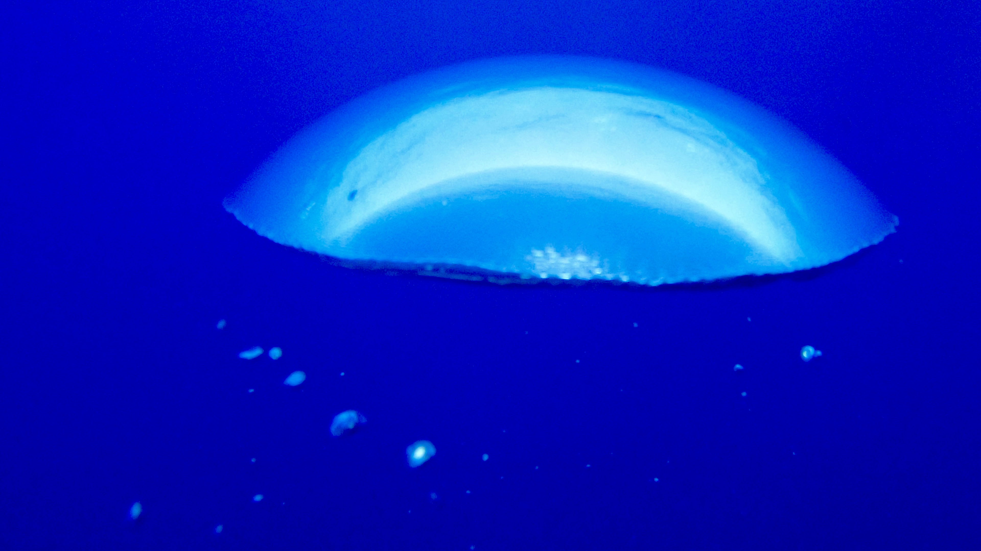 Discover Scuba Dive