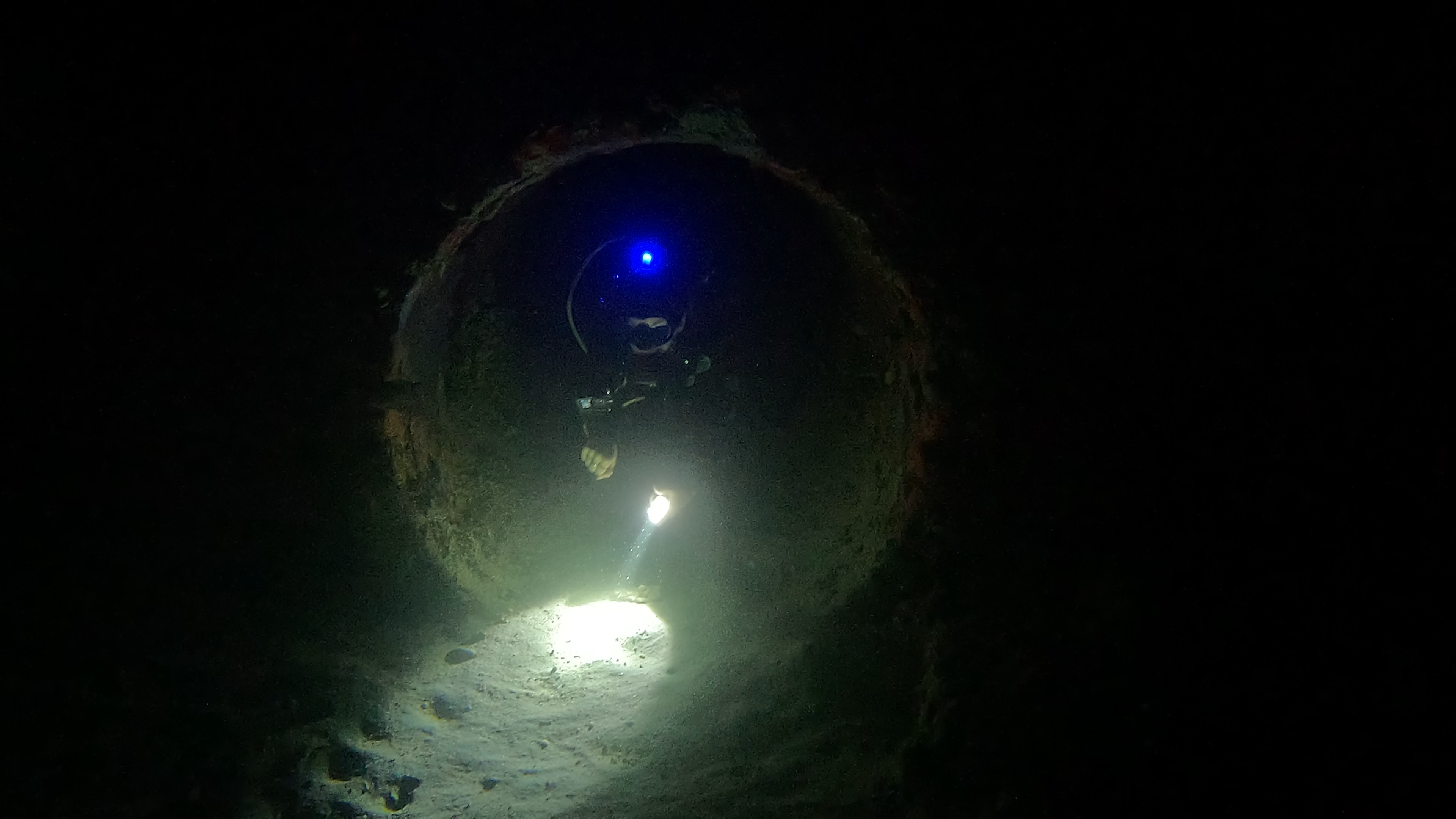 Night Diver Specialty